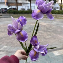 �Sβ��ʽ��ˇ���W�eľ���Ҿ����޾Ƶ����P���������b[����c