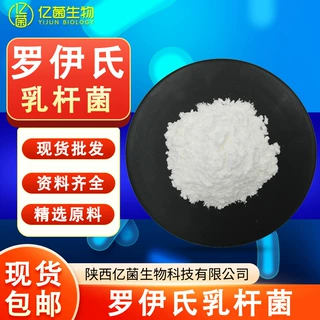 罗伊氏乳杆菌100亿 固体饮料 活性益生菌粉现货包邮量大从优