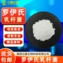固体量大活性乳杆菌