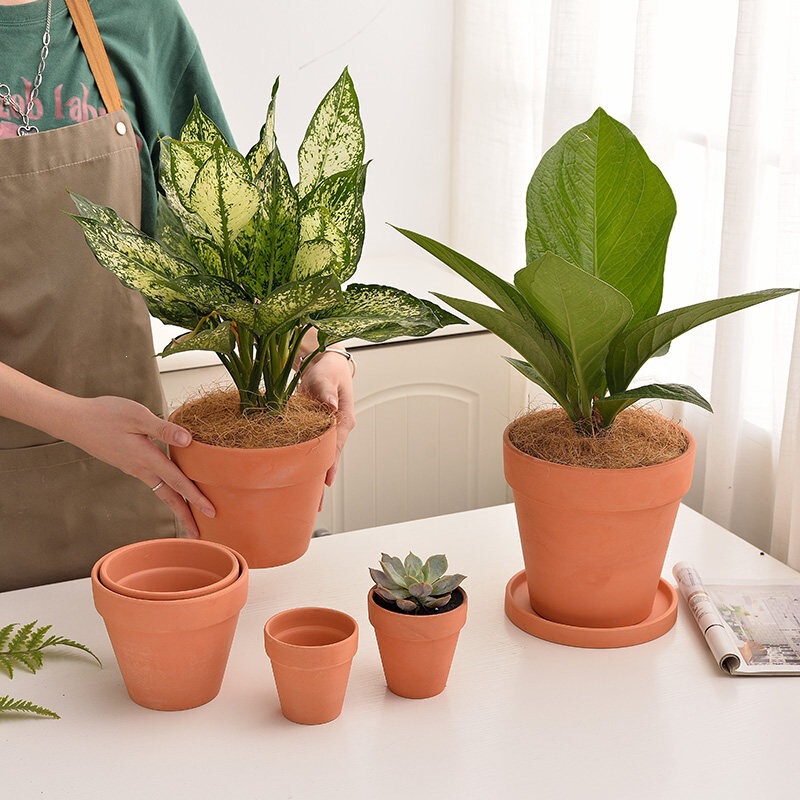 Red Clay Flower Pot with Tray, Breathable Round Indoor Tabletop Ceramic Pot for Succulent Plants, Simple Ceramic Flower Pot Red Clay Flower Pot with Tray, Breathable Round Indoor Tabletop Ceramic Pot for Succulent Plants, Simple Ceramic Flower Pot