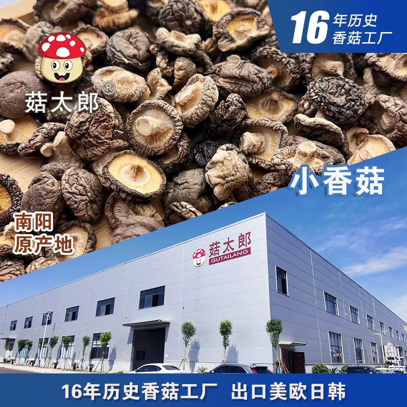 香菇干货冬菇椎茸1.5-2CM光面菇散装珍珠菇小冬菇可出口基地备案