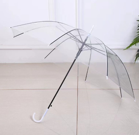 투명 우산