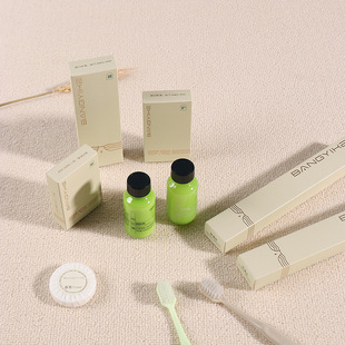 Disposable Toothbrush with Toothpaste, Hotel and Guesthouse Exclusive Toiletries Set, Wholesale Logo, Daily Use