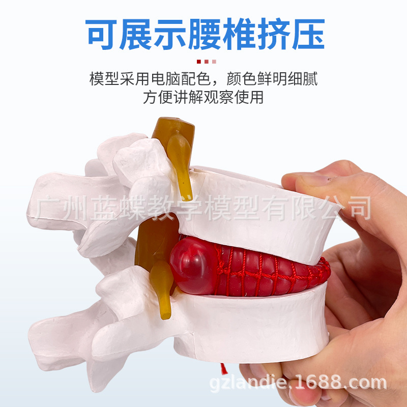 ��׵�Ŵ���׵������ѹ��ʾģ�����弹����׵�ǲ�����ʾ�ؽ�ҽѧ��