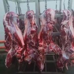 牛肉 鲜剔骨牛后腿肉5千克起批 内蒙古黄牛肉牛腿肉新鲜