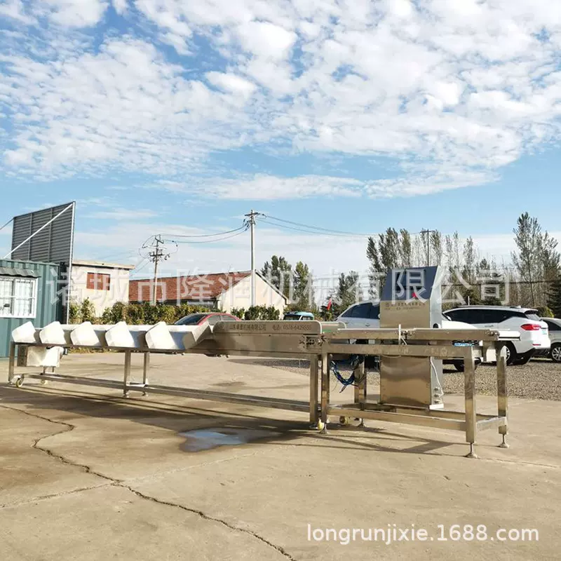 厂家供应全自动皮带式带鱼鲅鱼分选机 活鱼动态检重秤多级分拣