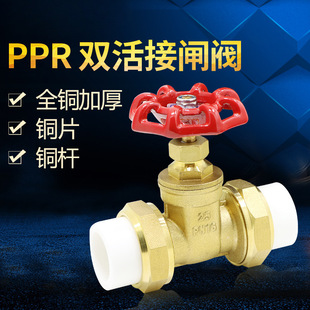 批发黄铜PPR闸阀 4分6分自来水双活接铜闸阀dn15dn20dn25DN50-阿里巴巴
