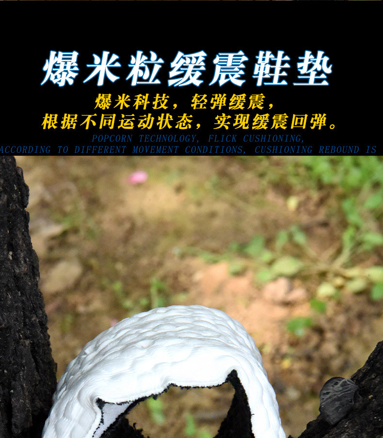 d20848a0-bb64-42da-b369-64fcb4bb7483.jpe