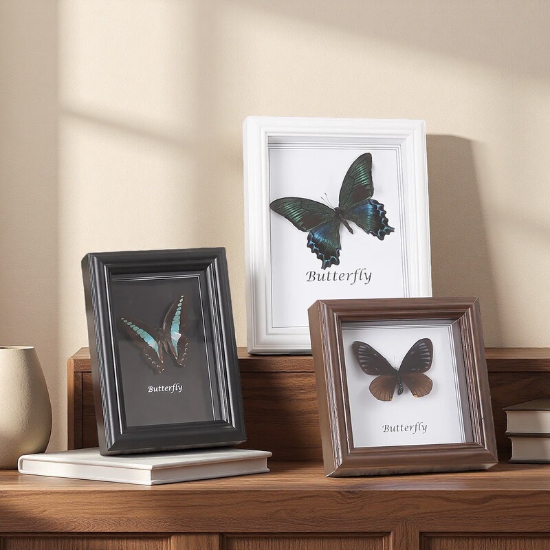 European Retro Hollow Stereo Photo Frame Table Butterfly Insect DIY Specimen Frame Square 46inch 8inch Wooden Picture Frame
