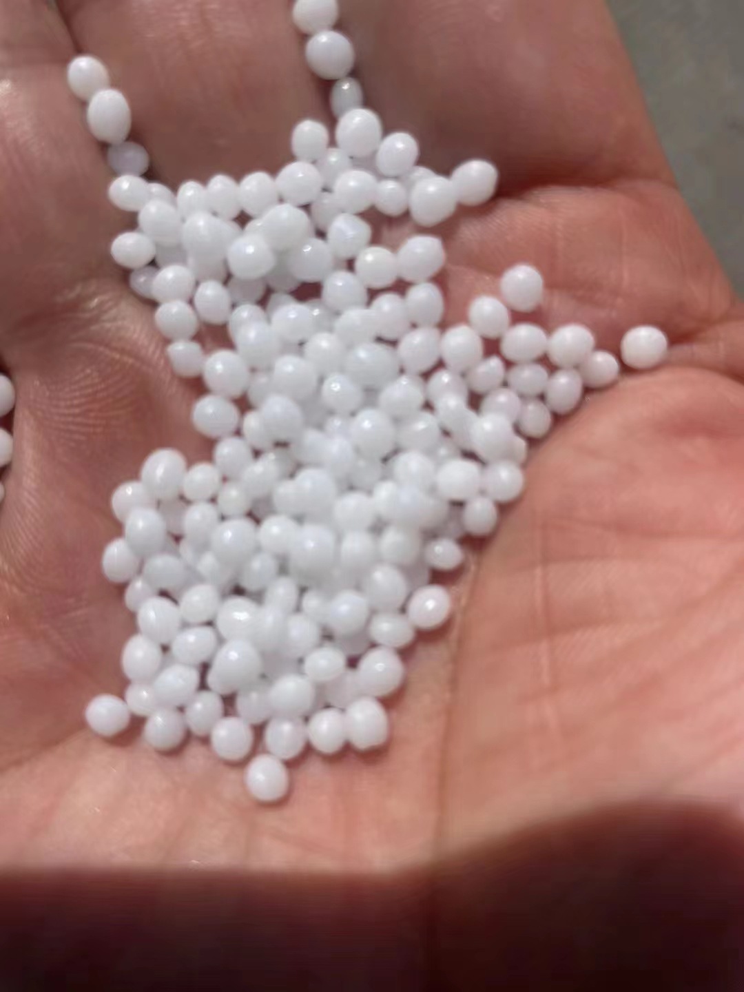 微信图片_20240524141951