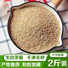 生白芝麻500g生芝麻干净免洗新鲜饱满无带皮生芝麻芝麻粒批发价厂