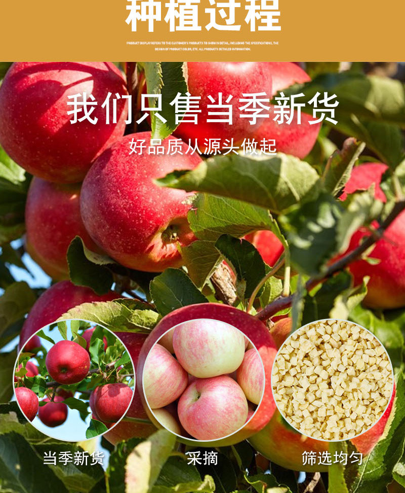 Dried Apple Dices (Malus domestica) — Low-Temperature Dehydrated Fruit Cubes, Bulk 500g preparation