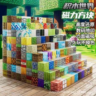 My Magnetic Cube World Assembled Magnetic Building Blocks Magnet Square Model Children's Girls Educational Strong Magnetic Toys