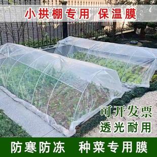 Agricultural Transparent Plastic Film for Growing Vegetables, Small Arch Shed Film, Agricultural Film, Plastic Paper, Insulation Mulch Film, Cold-Proof Greenhouse