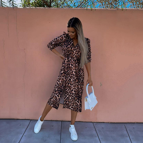 Spring and Summer Fashion Loose-Sleeve V-Neck Waist-Close Print Dress for Women