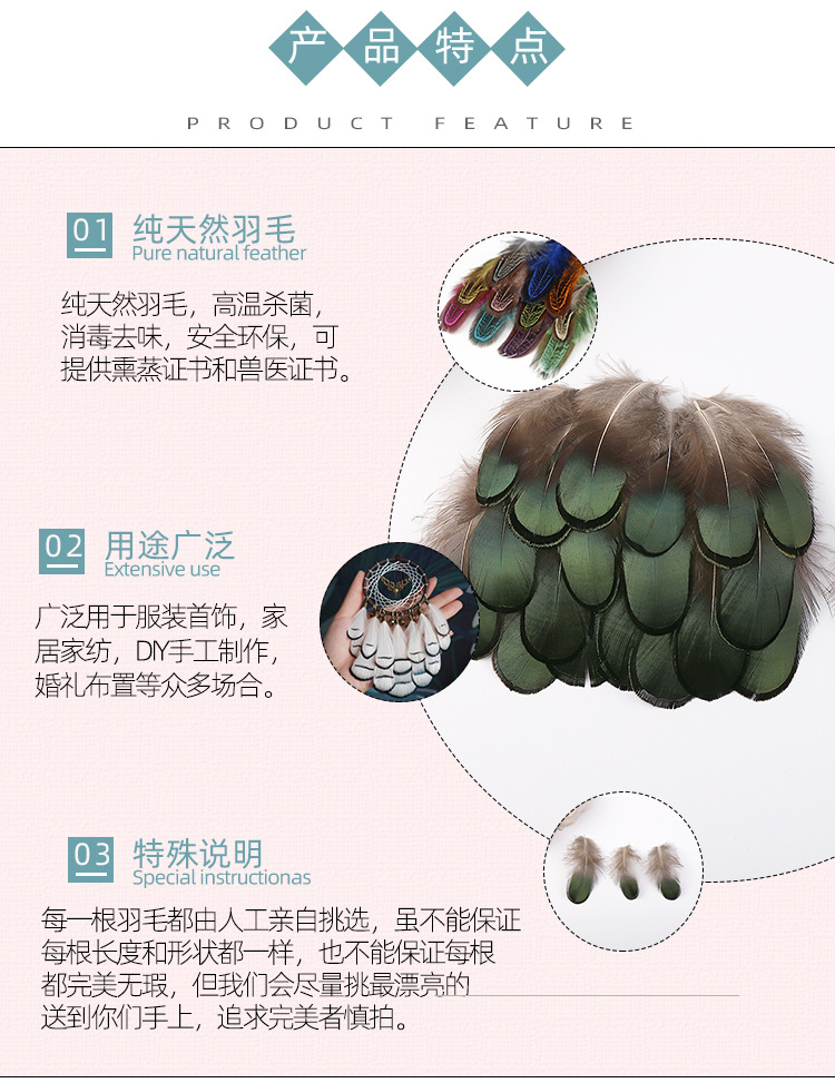 丰尔绿片_02.jpg