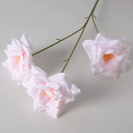 3 roses