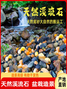 Stream Stone Pebbles Rain Flower Stone Original White Stone Fish Tank Aquarium Landscaping Flower Pot Natural Sandstone Courtyard