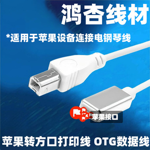 �O���D���ڴ�ӡ�� �m����֙C�B�����پ� lightningto BM USB