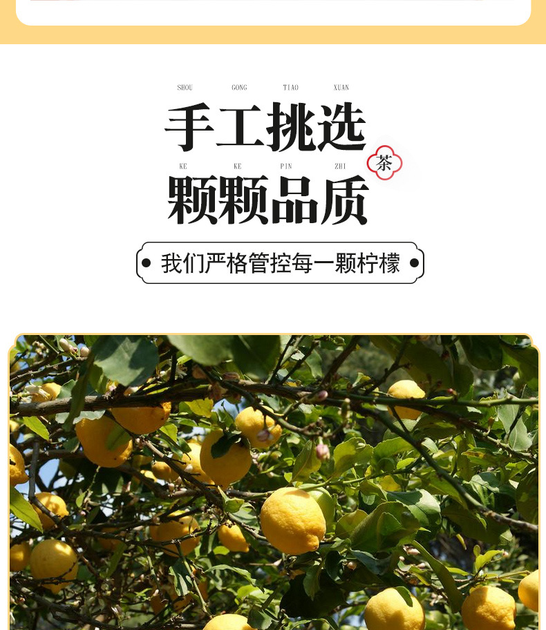 Freeze-Dried Lemon Slices Ning Meng Pian 50g Bottle Honey Lemon Tea Summer Cold Brew Fruit Tea key features