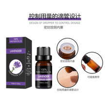 ޹ϞTֲﾫͷ㾫̴㾫޹ʯྫ͏SlF؛