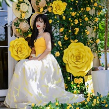 �ٻ���ˇ���ٗl�����Sɫõ�廨���������bW�t������