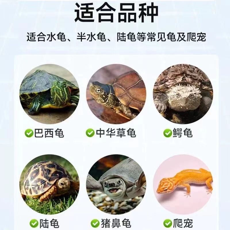 亀保護片亀消毒片は腐皮の腐った甲の白眼拒食を治療して水質を浄化します。|undefined