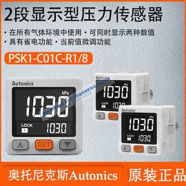 奥托尼克斯2段显示型压力传感器可在所有气体中使用PSK1-C1C-R1/8