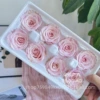 4-5CM light pink box