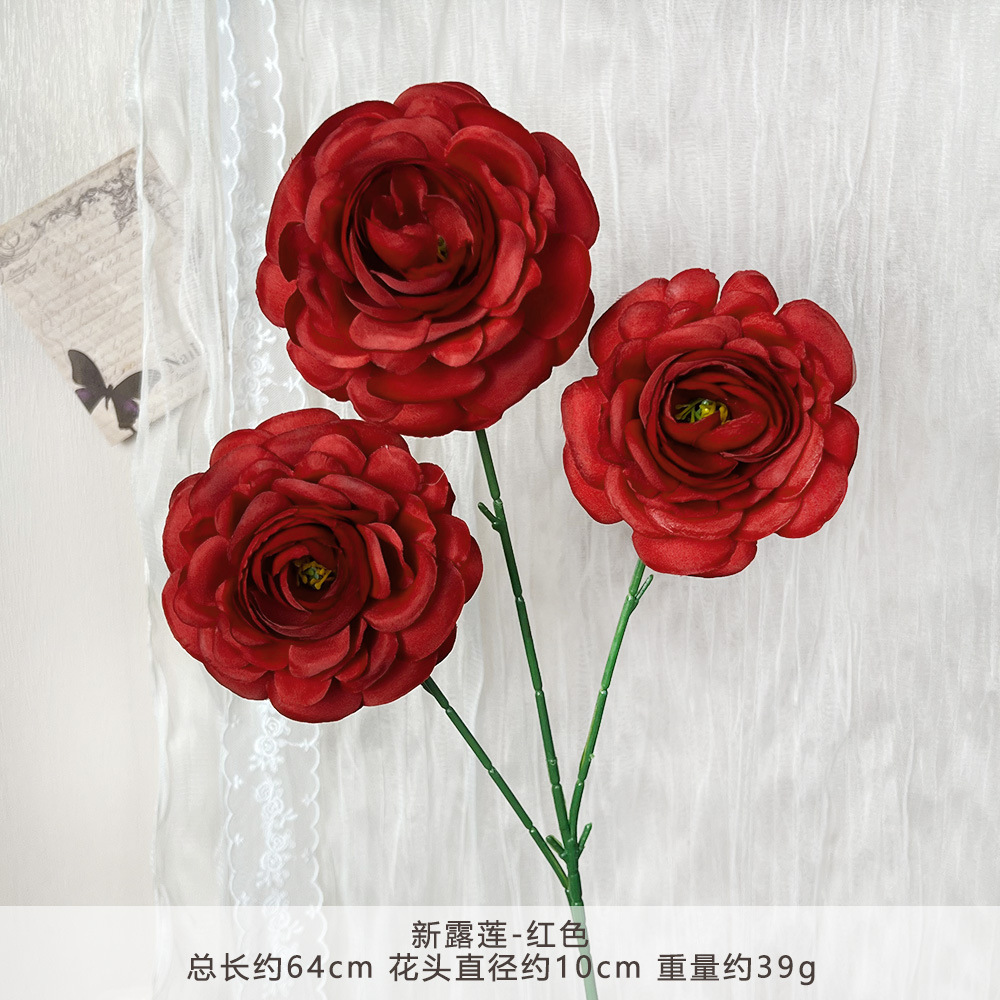 Wp-new luilian-red