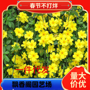 һ�����l�ͺ�ӭ���������辰̽����ͥԺ������Ԯ���ٴ�����܈�