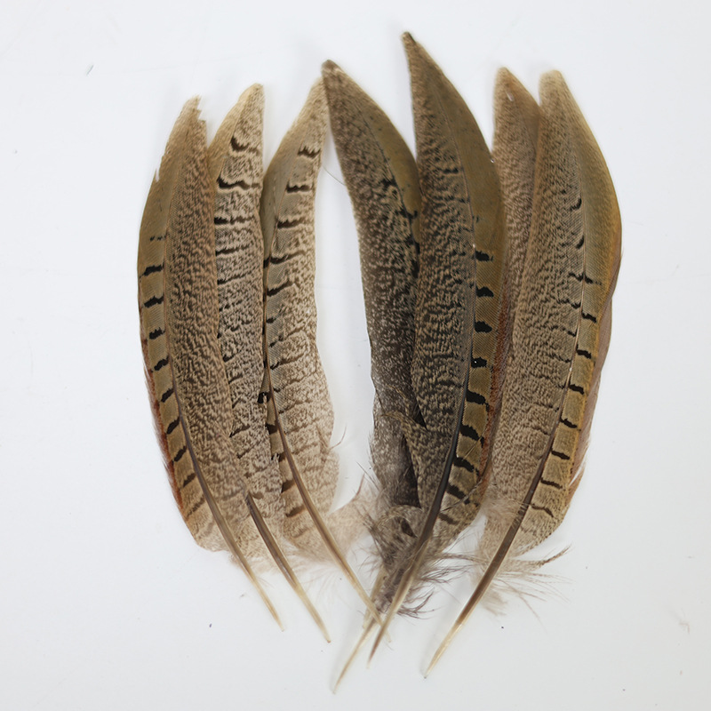 Mayorista 15 - 100cm plumas de cola de pollo de montaña, plumas de gato, plumas de gallo de montaña, plumas de gallo de Beijing, plumas de gallo salvaje
