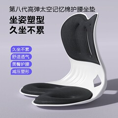 昌峰 人体工学护腰坐垫椅子办公室工位久坐神器腰部支撑拖靠背姿