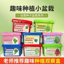 ��ͯ�Nֲ��С���Ԅ��������_���r��diy��ݮ���տ��׃��@�Nֲ���@