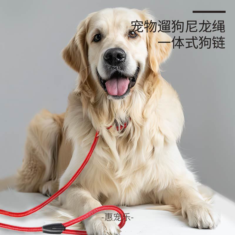 Nylon dog buckle anti-impact and explosion traction rope pull-resistant pet traction rope P chain traction belt dog walking rope dog chain