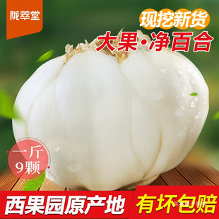 �]�����r�ٺ����^��500g�m���خa�r�������ٺ����r�ٺϸ�ʳ��