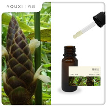 ��Ϣɺ�����η������Ї� �h����ș����Coral Gingerɺ��������