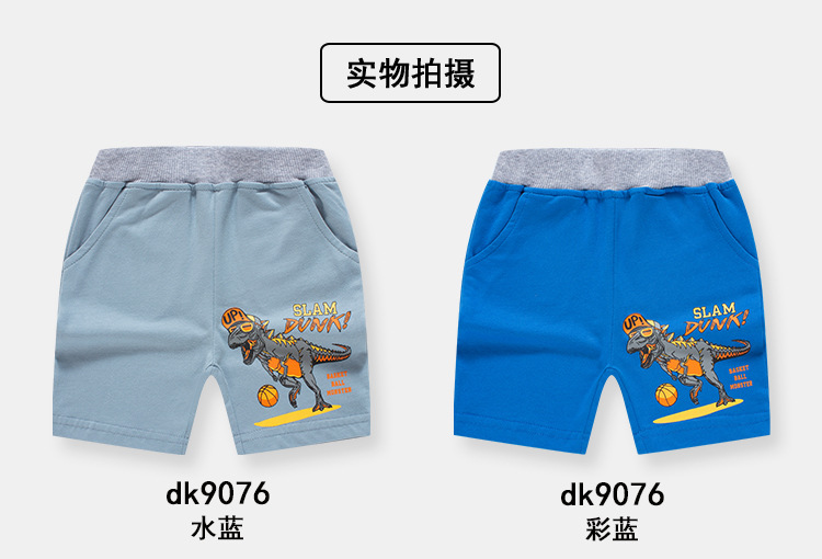 dk9076_07.jpg