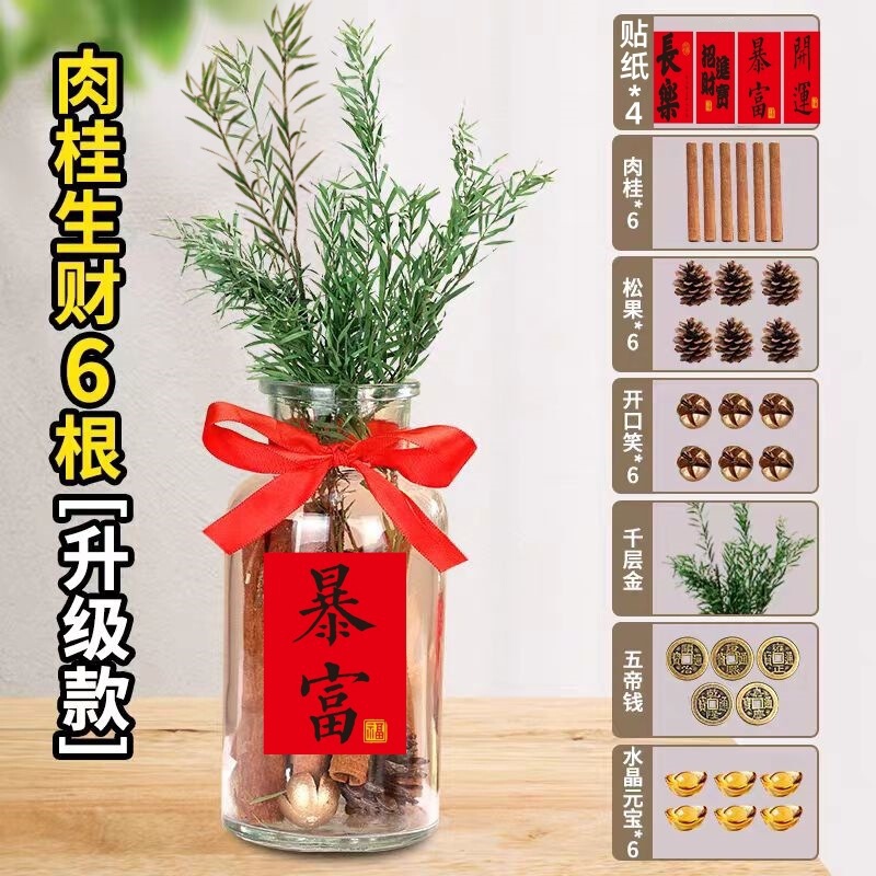 肉桂生财瓶摆件玻璃瓶花瓶diy材料客财厅位乔迁新居搬客厅|undefined