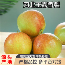 ����ɽ����¶�����������rˮ����������������ѩ��һ�����l