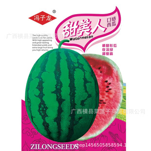 �߲˷N���T�����S��ֱ�����������ش����ļ��Nֲ ����������