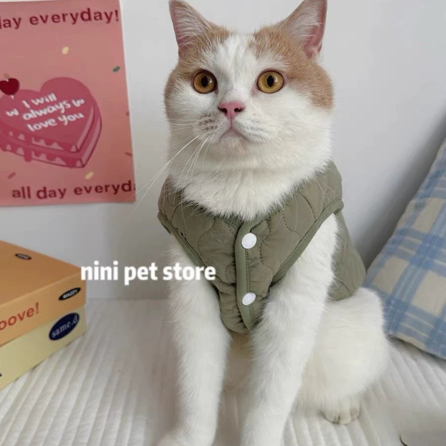 Кошачья одежда с буксировкой