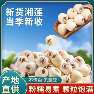 ɏ�� ��ɏ�� �tɏ�� ����ɏ�� ɏ���� ���l���۸��N�a�� һ�����l