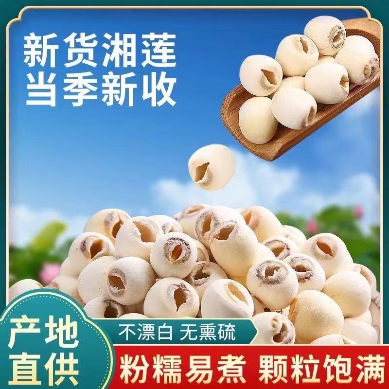 莲子 白莲子 红莲子 建宁莲子 莲子心 批发零售各种产地 一件代发