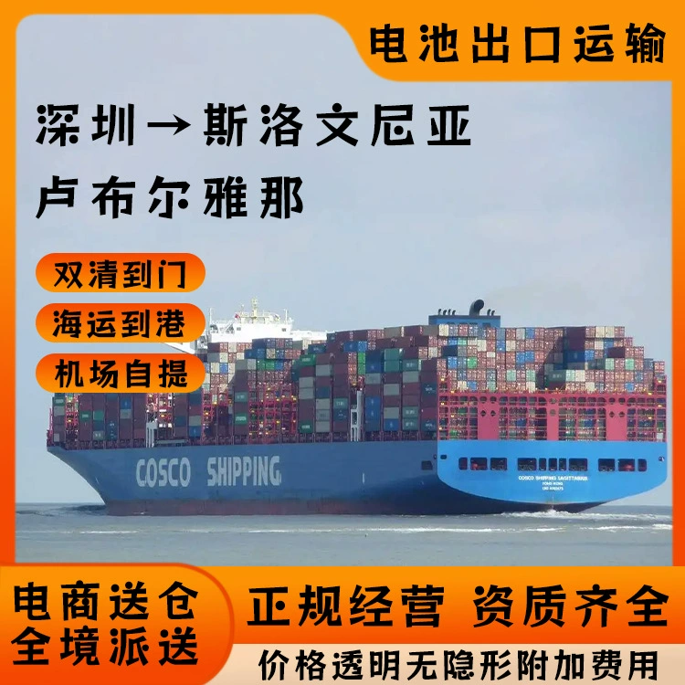 Литиевая батарея Шэньчжэнь в Словению Любляна по морю, включая налог двойной очистки двери CIF/DDP