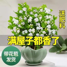 ���������Ԏ������������Ϙ���û���ֲ���҃ȝ��㻨�ڎ������B