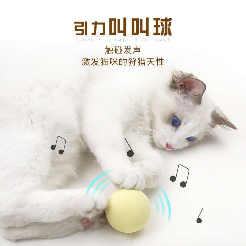 猫のおもちゃの音の重力はボールを叫びます。猫のミントは猫のボールの小鳥の鳴き声を笑わせます。|undefined