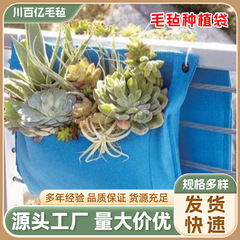垂直緑化植物壁掛け不織布フェルト植栽バッグ植物バッグ立体緑化壁バッグ