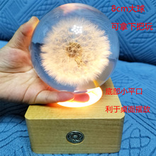 树脂水晶球永生花蒲公英触控大夜灯中秋七夕节节礼盒套装礼物圣诞