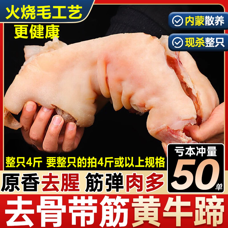 去骨牛蹄新鲜正宗黄牛牛蹄子整只带筋牛脚商用饭店卤菜食材熟牛蹄